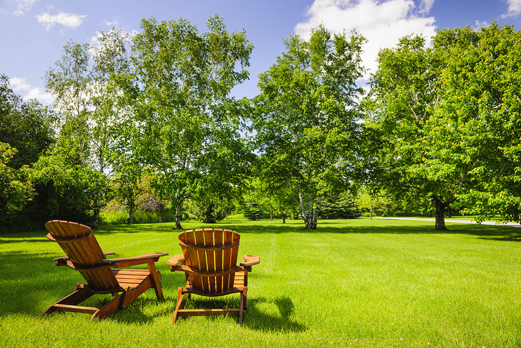 TWO CHAIRS IN A LARGE BACKYARD WITH TREES